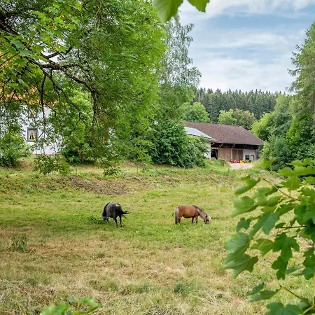 Farma Jaeckleshof Sankt Georgen im Schwarzwald